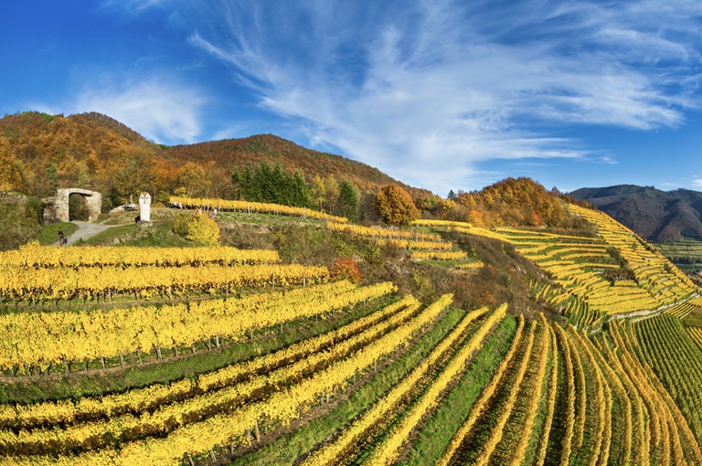 Rotes Tor bei Spitz, Herbstatmosphäre - (c) Donau Niederösterreich - www.extremfotos.com.jpg