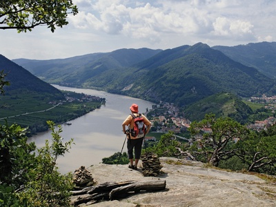 Welterbesteig Wachau, Blick auf Spitz und Oberarnsdorf - (c) Donau Niederösterreich - Franz Hauleitner.jpg